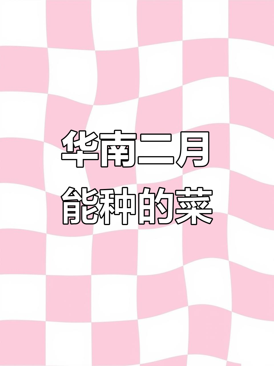 华南2月适合种植的蔬菜,叶菜、根茎类全都有