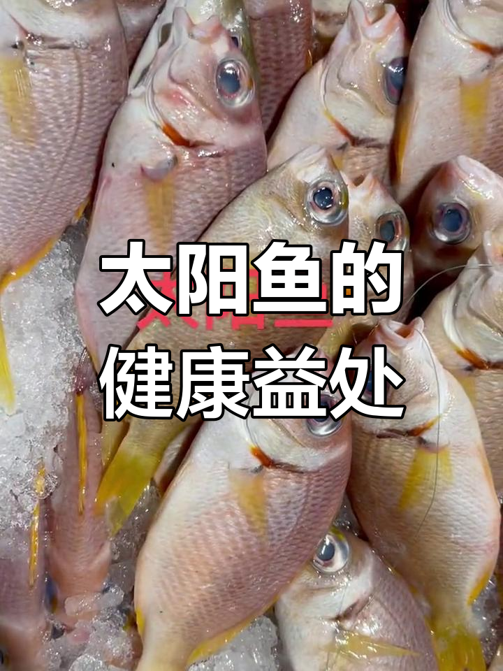 太阳鱼富含营养,帮助增强免疫力、缓解疲劳