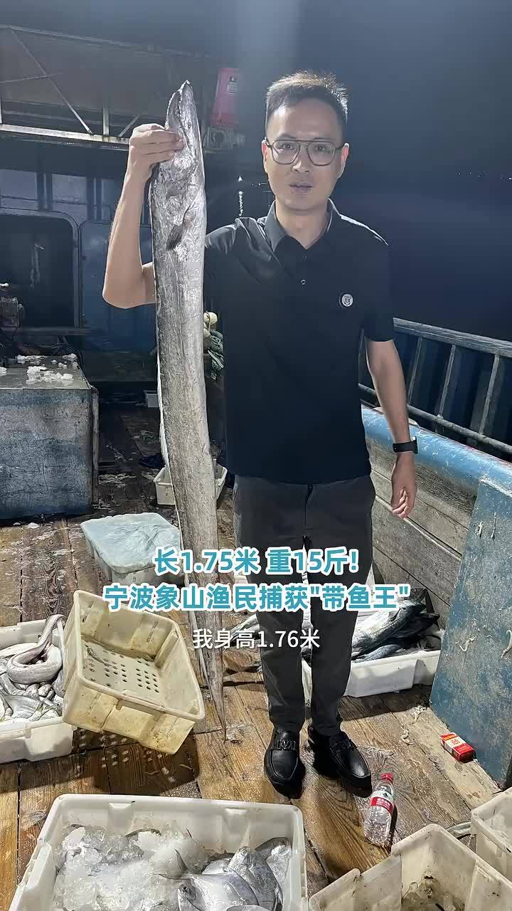 长1.75米,重15斤!浙江象山渔民捕获“带鱼王”