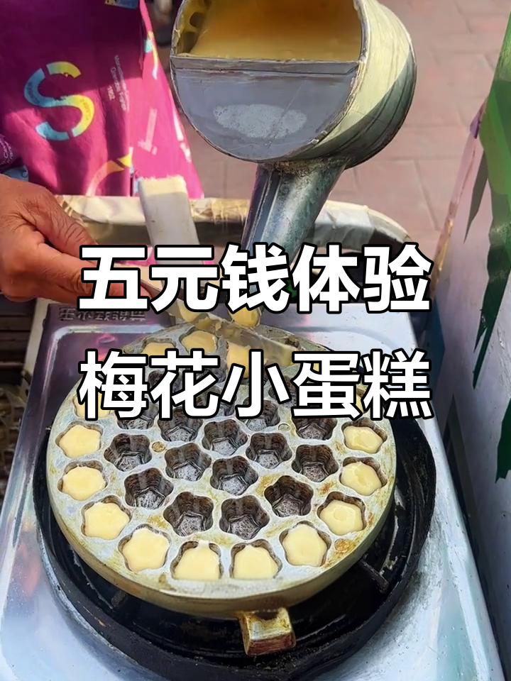 山西运城街头梅花小蛋糕，五块钱就能尝到原味和巧克力