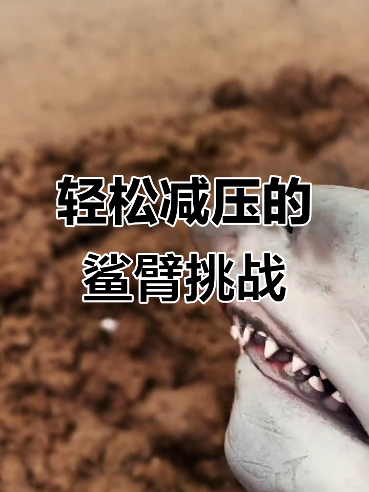 减压视频:鲨臂挑战,动作搞笑不停