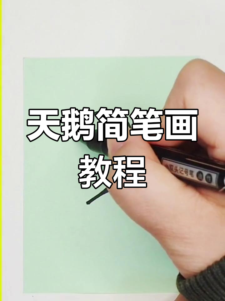 创意简笔画:从丑小鸭到白天鹅