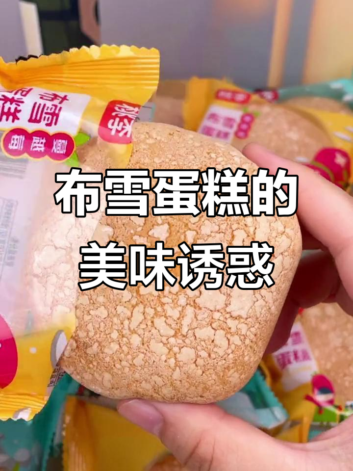 桃李布雪蛋糕,松软香甜,蔓越莓葡萄干超赞!