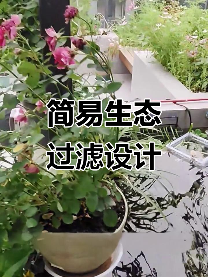 自制鱼池循环水系统,瀑布与小池子巧妙连接