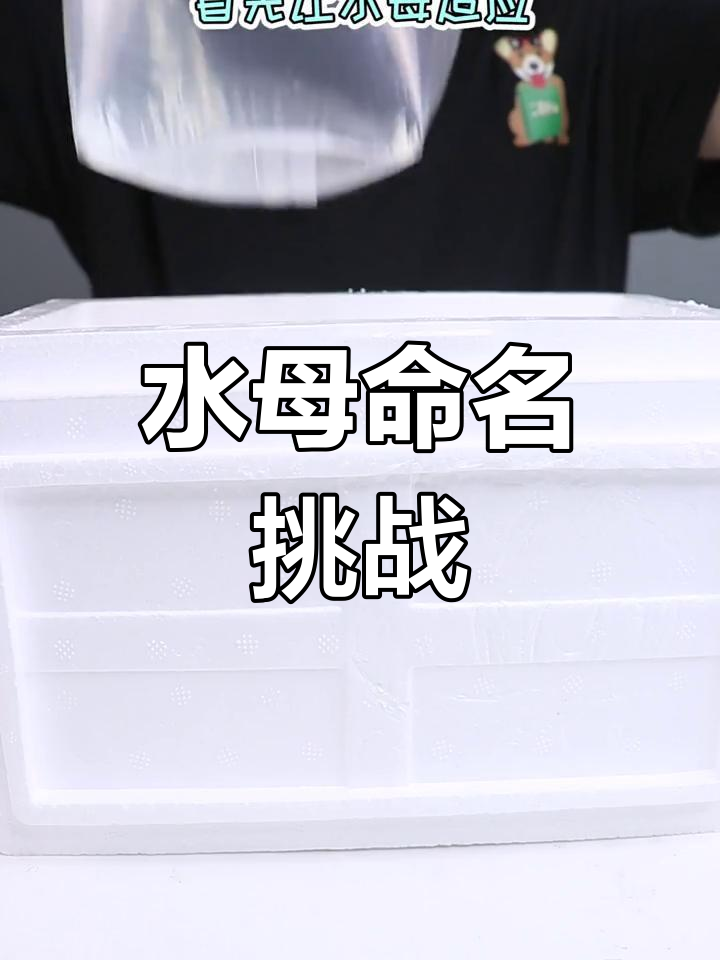 家里养了三只水母,快来帮忙取个有趣的名字吧!