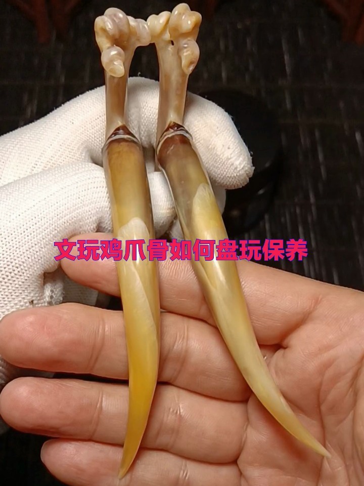 文玩鸡爪骨如何盘玩保养?