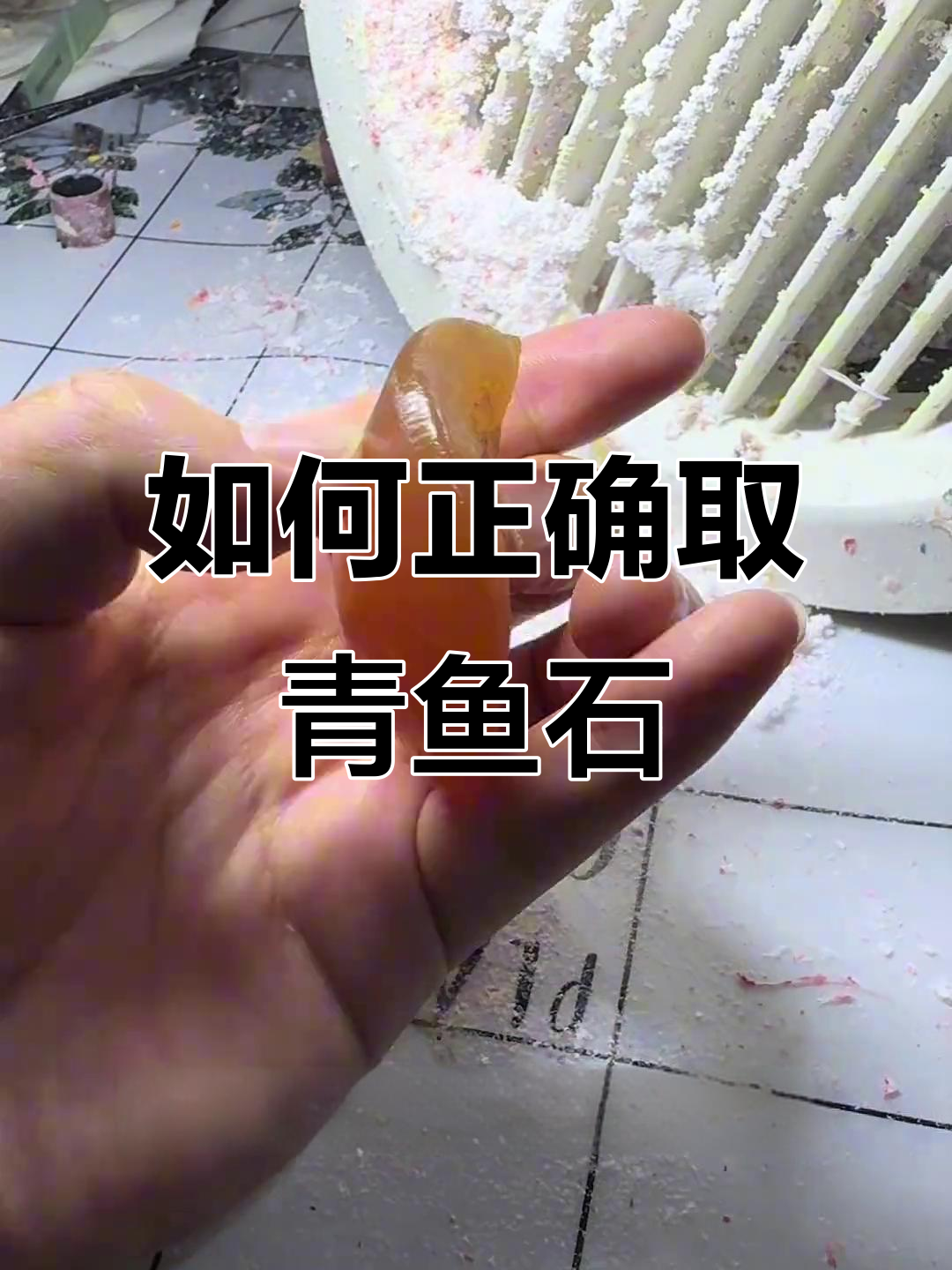 青鱼石取法全攻略，轻松制作吊坠！