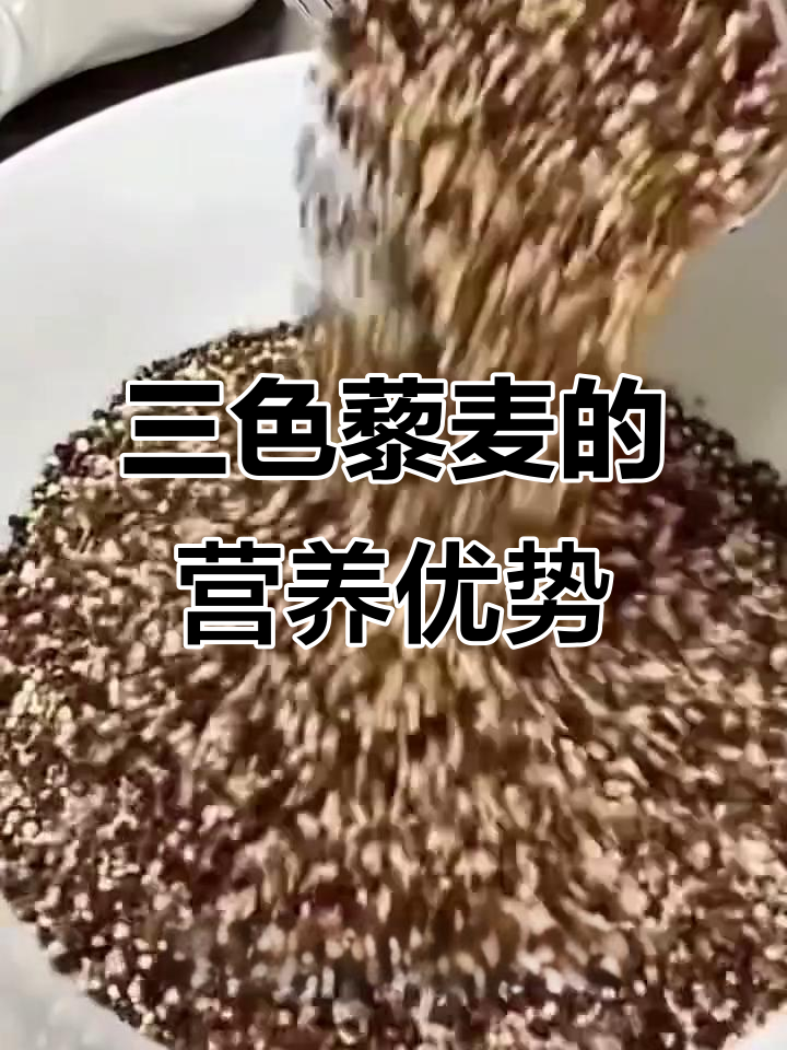 三色藜麦:营养全面,钙含量堪比牛肉的高蛋白主食