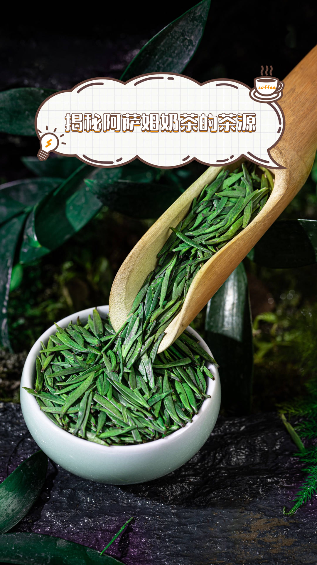 揭秘阿萨姆奶茶的茶源