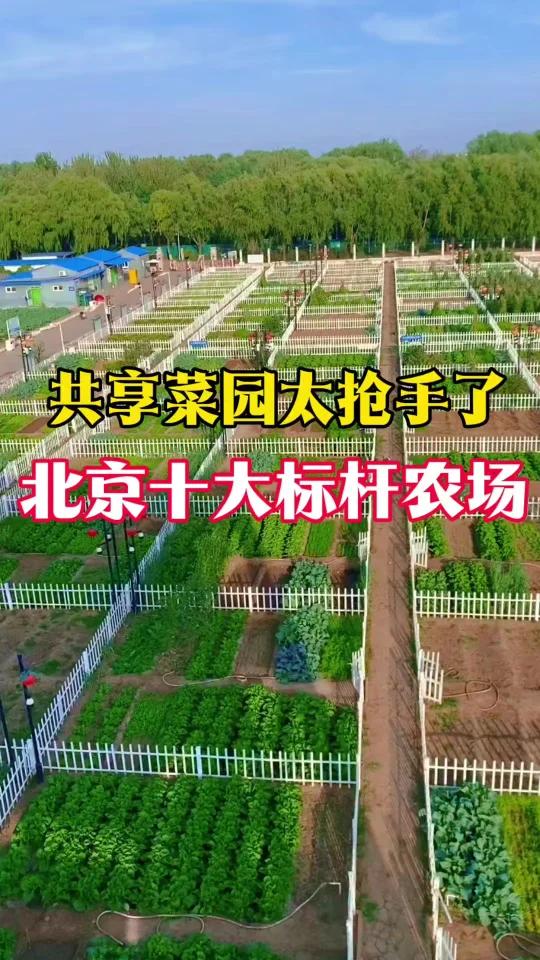 共享菜园太抢手了，北京10大标杆农场真香