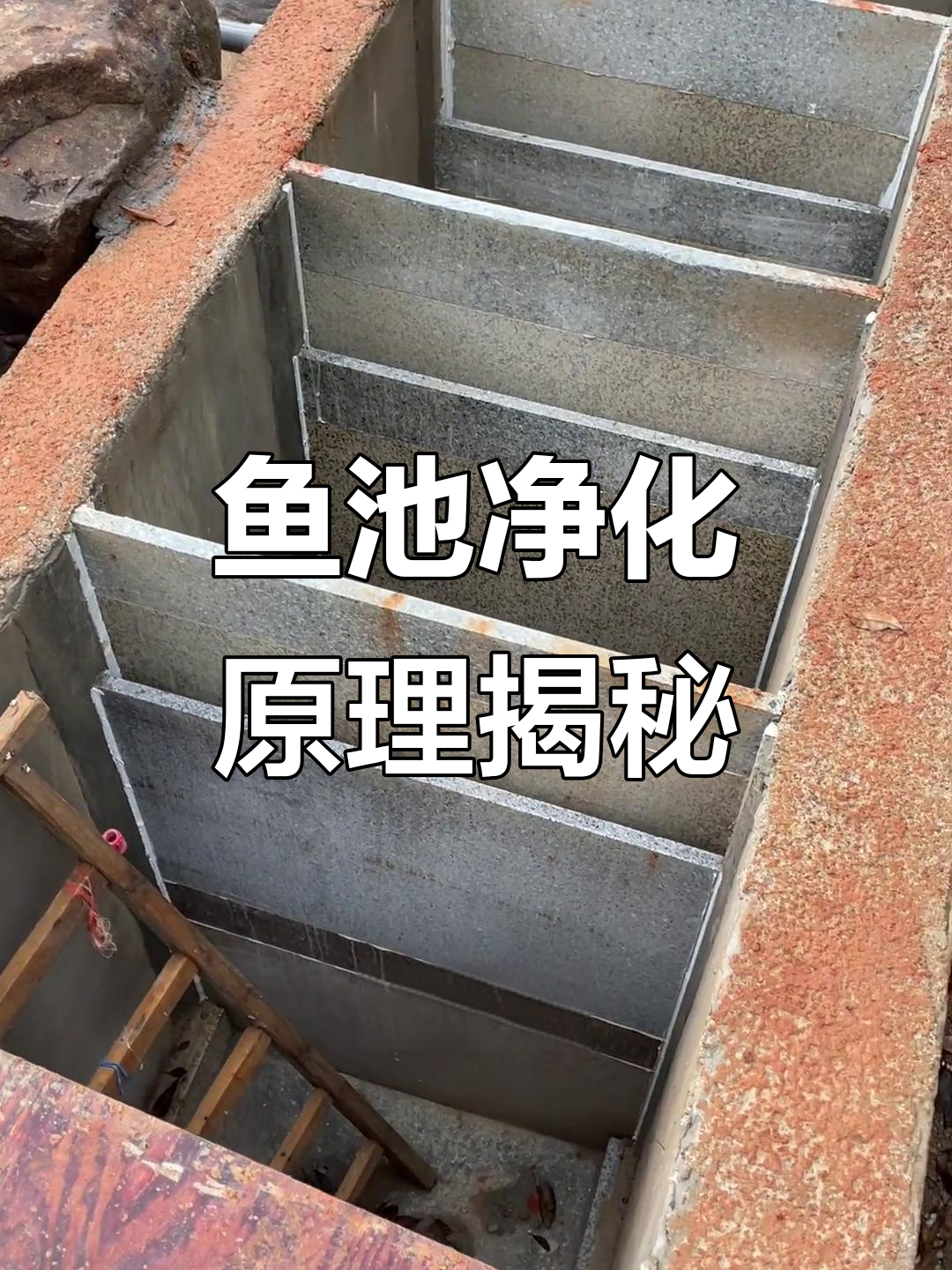 鱼池过滤系统全解析：从收集到净化的全过程