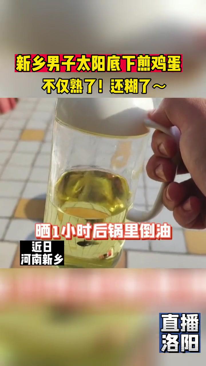 新乡男子太阳底下煎鸡蛋,不仅熟了,还糊锅了～洛阳 高温
