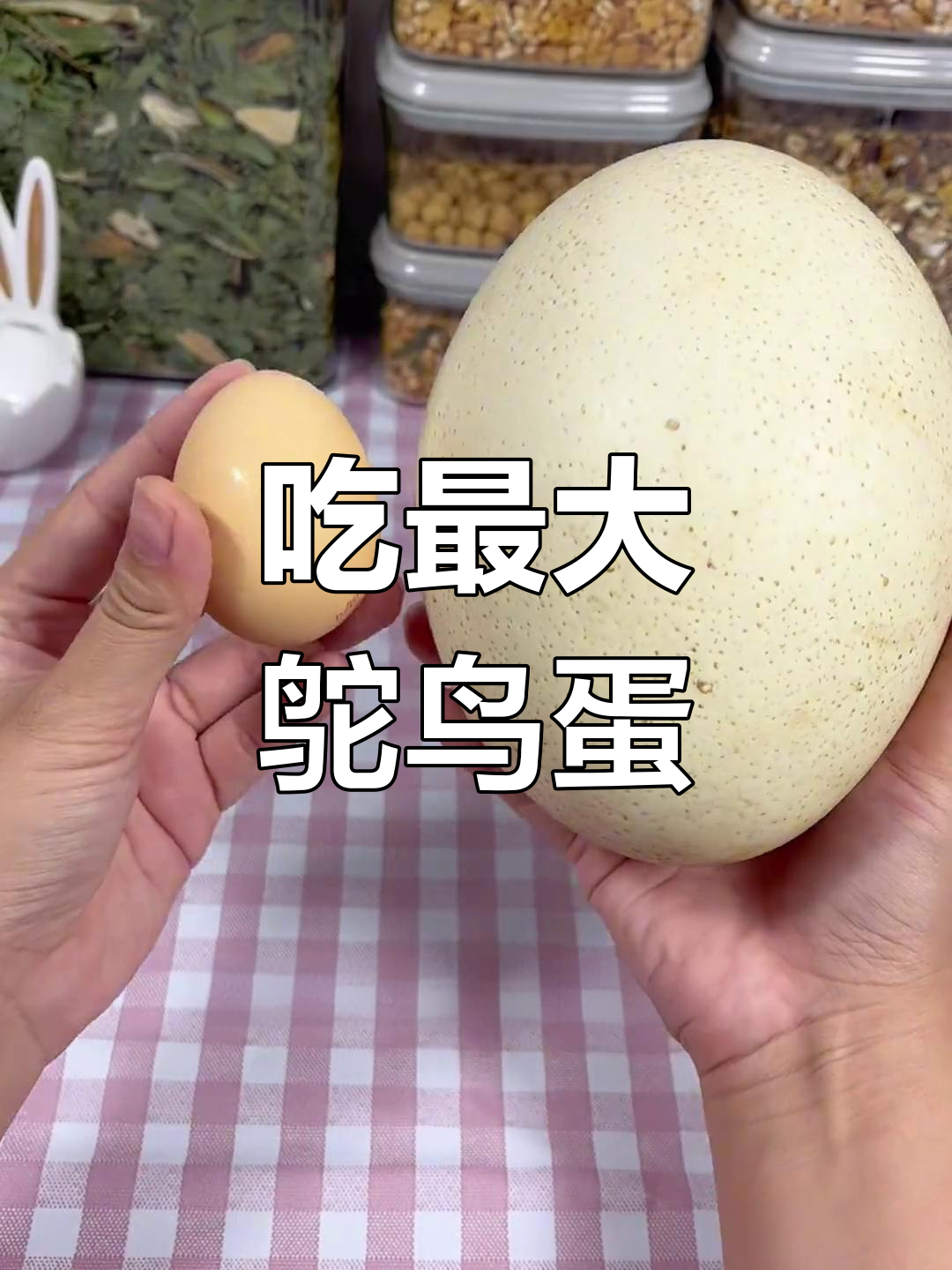 挑战世界上最大的鸵鸟蛋,竟然这么重!