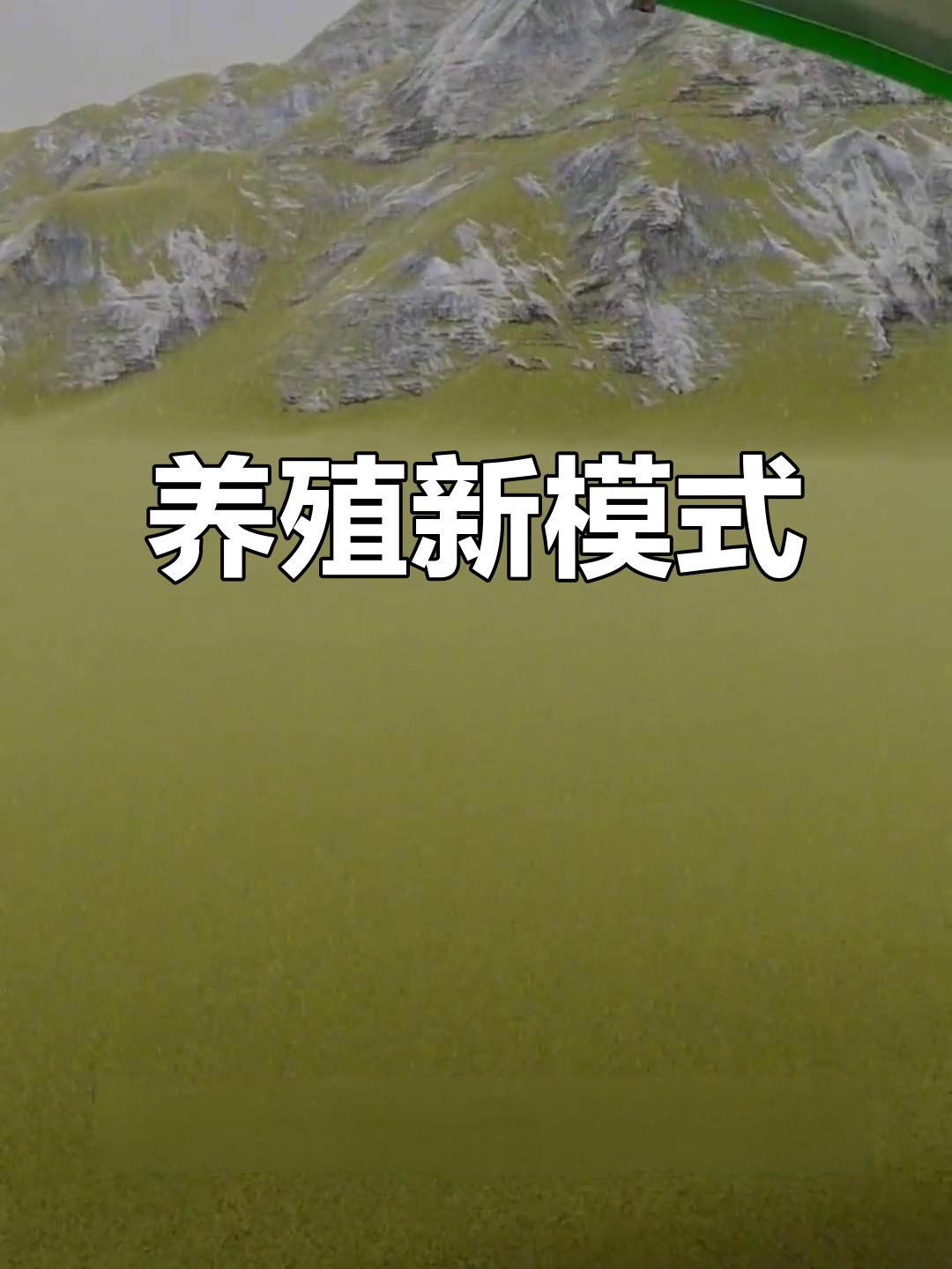 大棚养鱼,轻松实现高效产出!