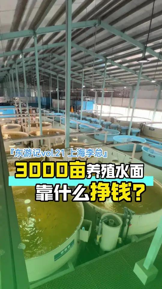 「东游记vlo.21上海林总」3000亩养殖水面和5个工厂化循环水养殖车间靠什么赚钱?上海