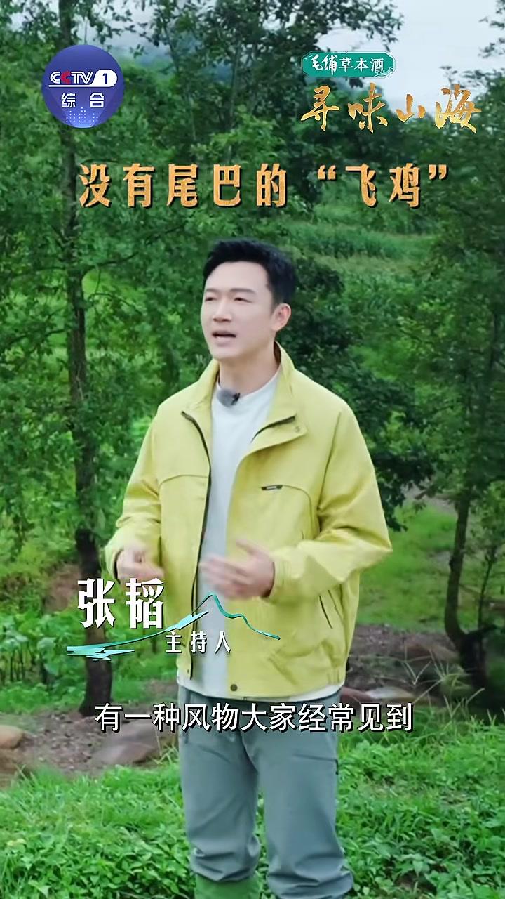 「速来看 造型奇特没尾巴的飞鸡」在云南普洱,有一种特别的鸡——瓢鸡。因为缺失尾椎骨,臀部向