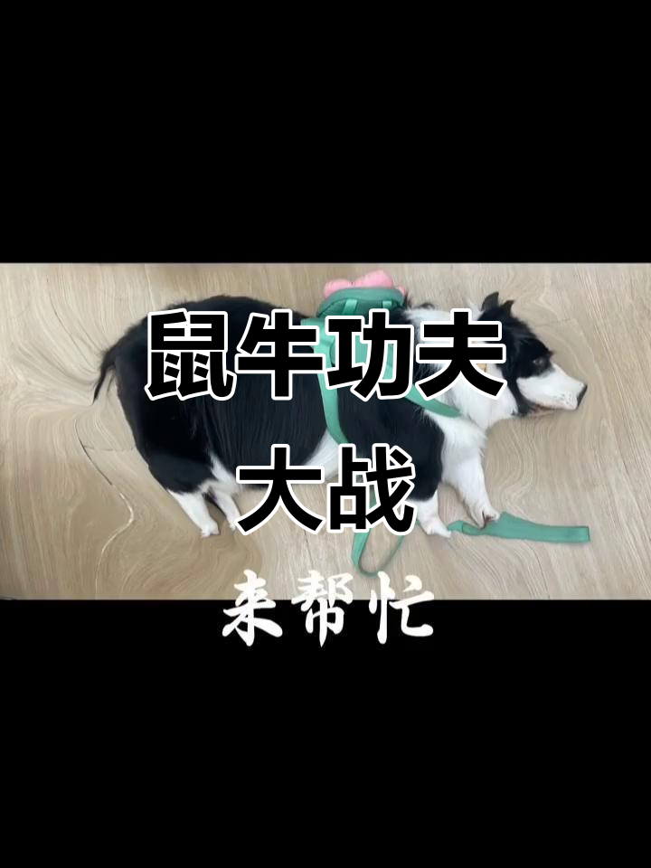 鼠标爹亲自下场,十二大侠齐聚挑战极限