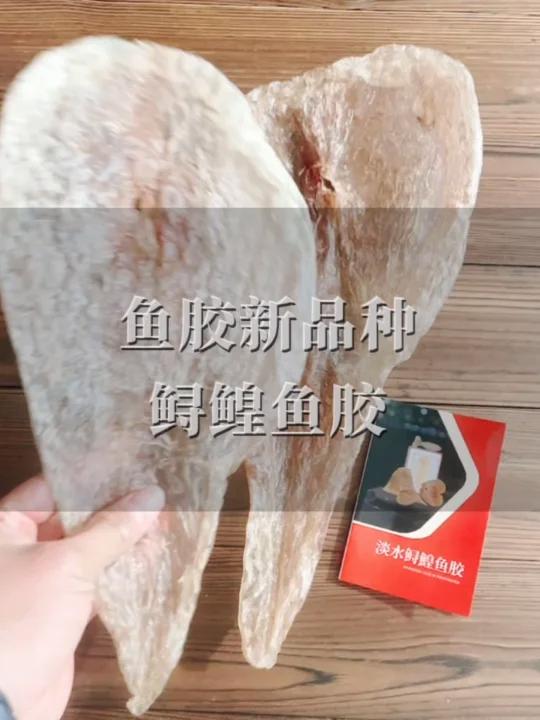 淡水鱼胶新品种鳇鱼胶