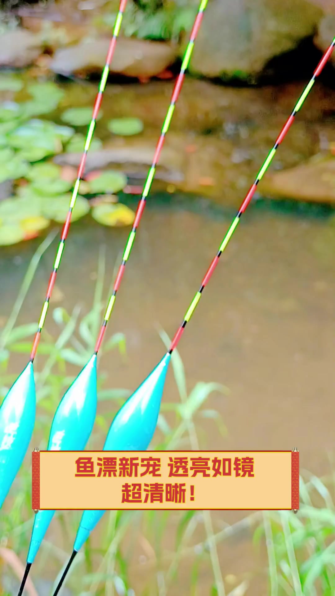 鱼漂新宠,透亮如镜,超清晰!