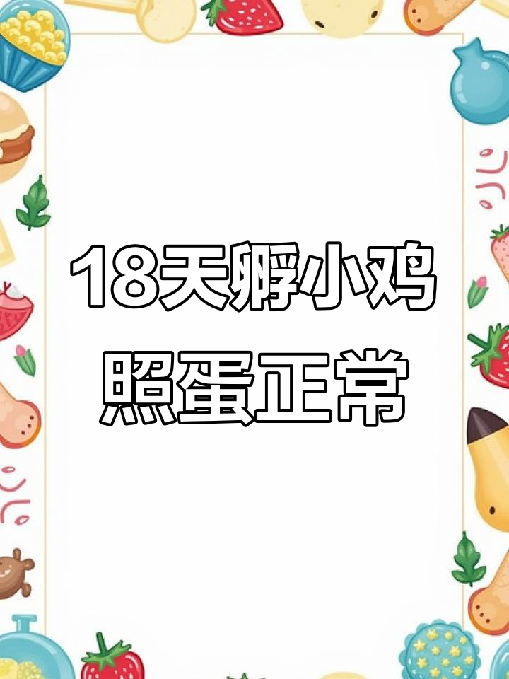 18天鸡蛋孵化，小鸡已成型，照蛋结果令人满意