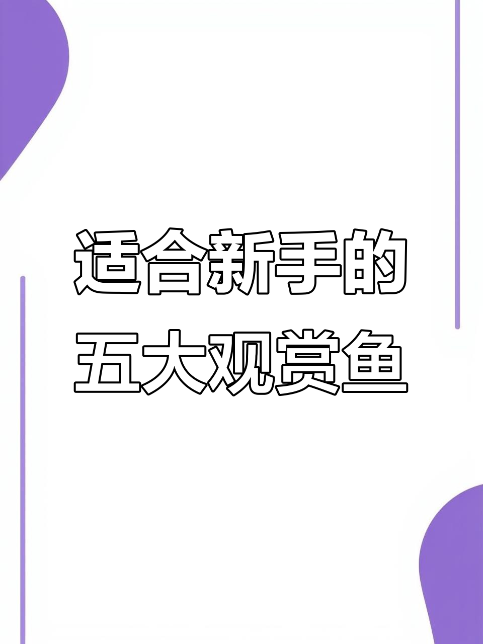 新手必养五种观赏鱼，轻松爆缸！