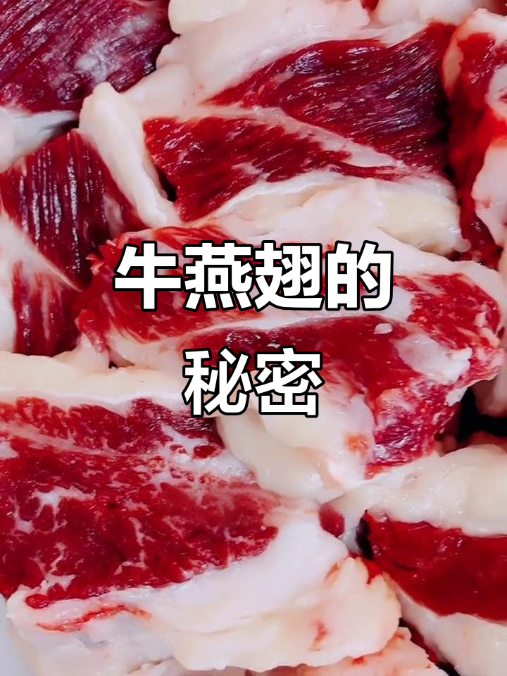 很多人吃牛燕翅,却不知道它究竟是哪部分