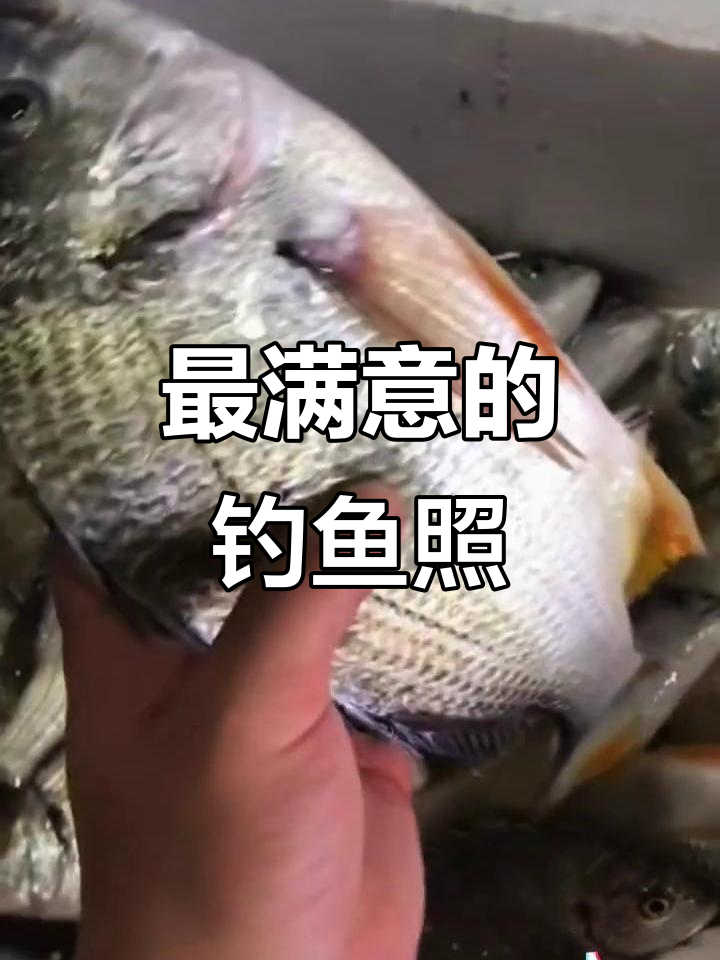 分享你最喜欢的钓鱼照片,展示你的钓技与美景