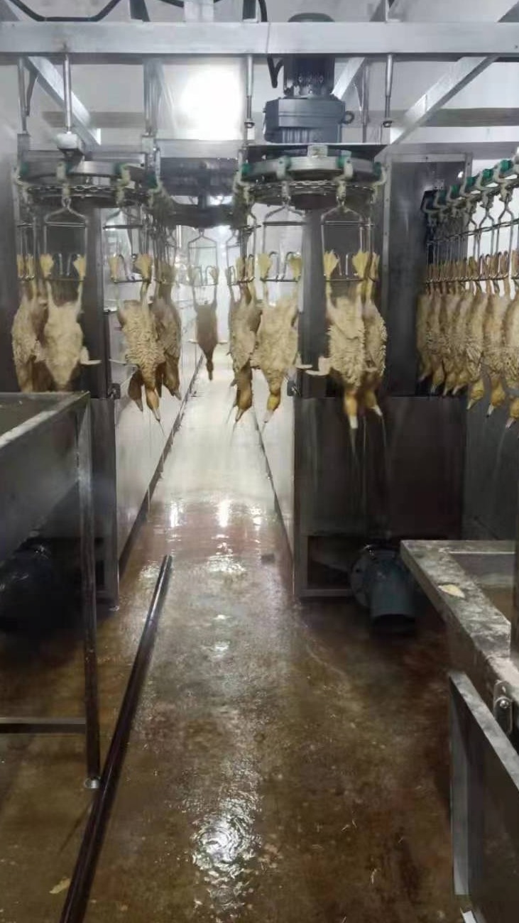 小型杀鸡流水线 白羽鸡屠宰线 公鸡宰杀设备视频 麻鸡脱毛机器