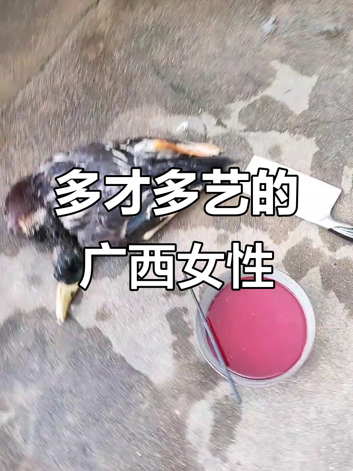 广西女性多才多艺,杀鸡宰鸭样样精通!