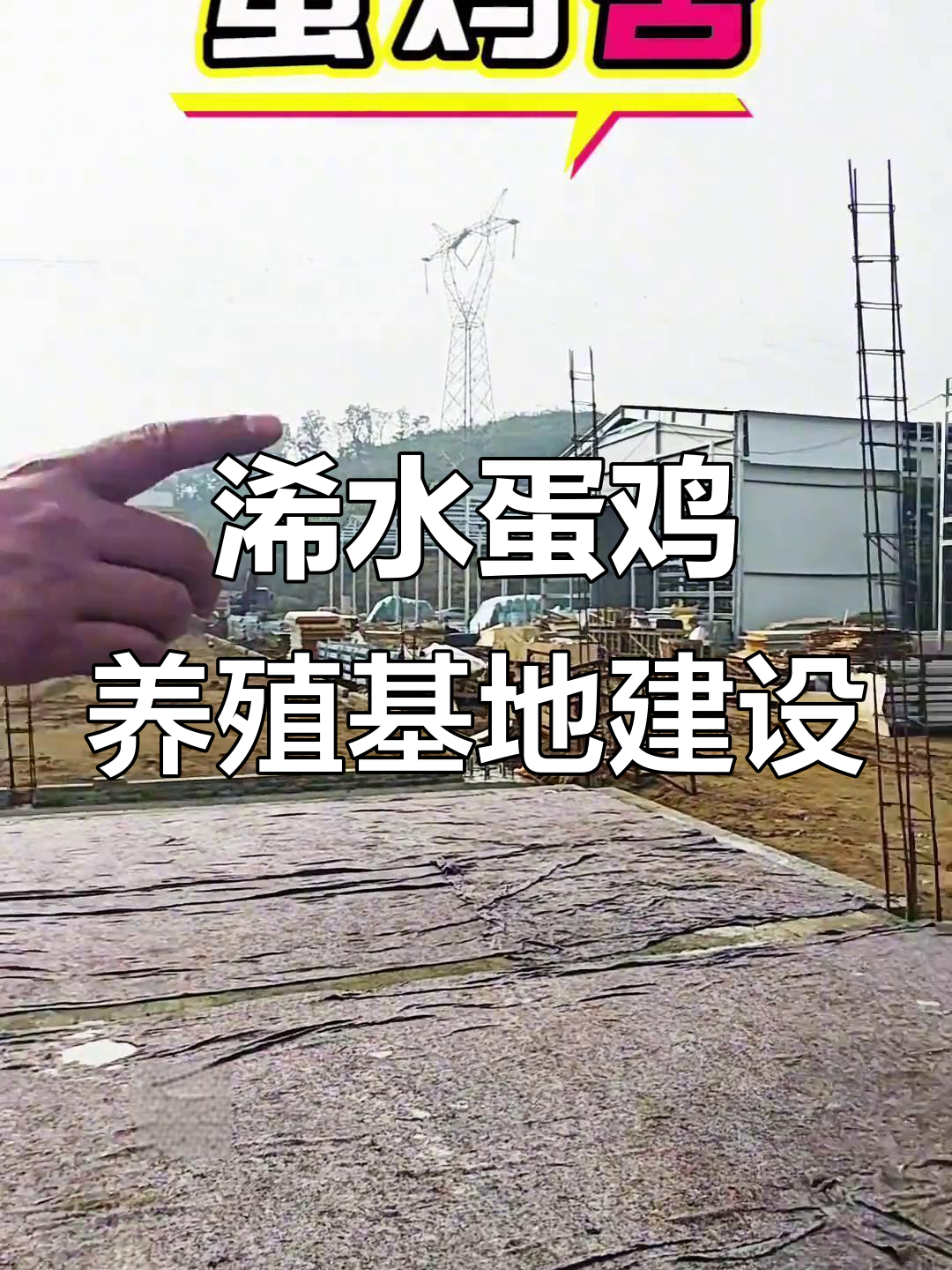 浠水县八河镇蛋鸡养殖基地建设进展,厂房与办公楼同步进行