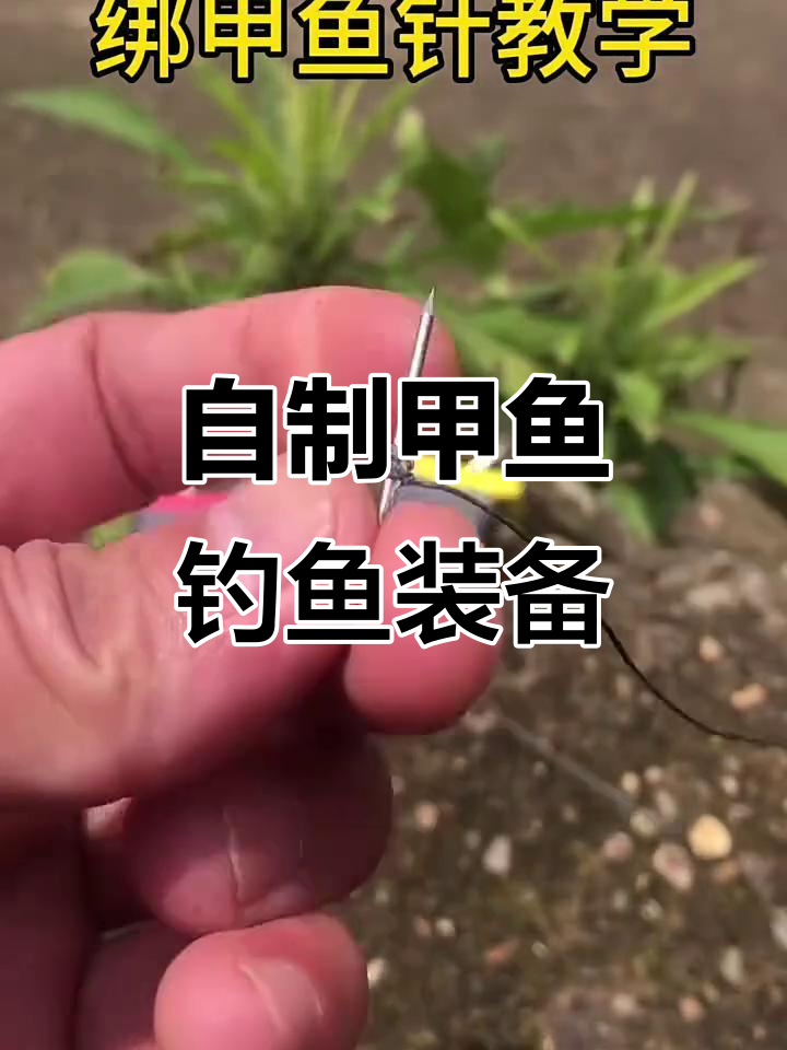 甲鱼钓法大揭秘:如何用针线制作捕捞工具