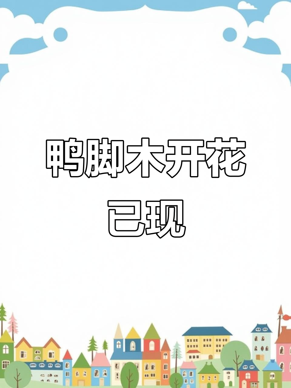 澳洲鸭脚木盛开,美丽花朵惊艳登场