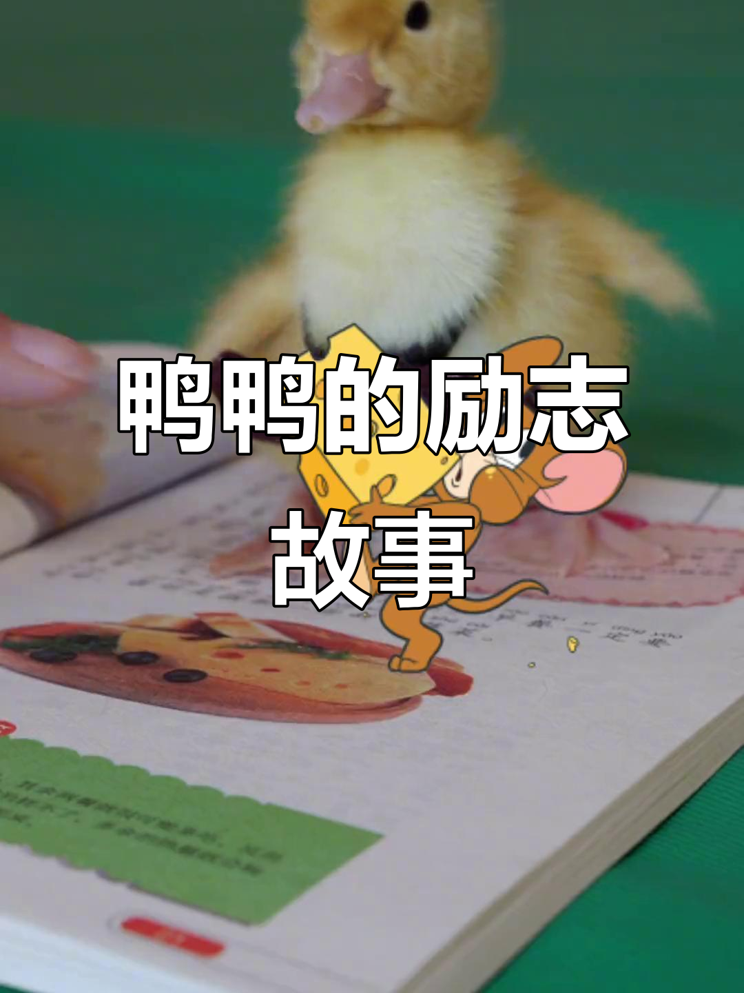 小黄鸭勤奋学习,我们还有什么借口偷懒呢?