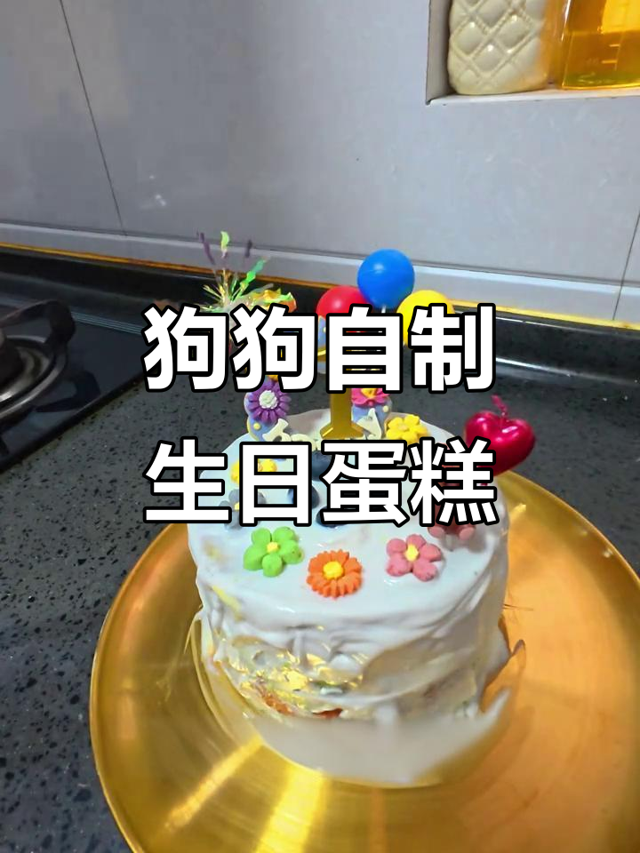 自制健康狗狗生日蛋糕,简单又美味