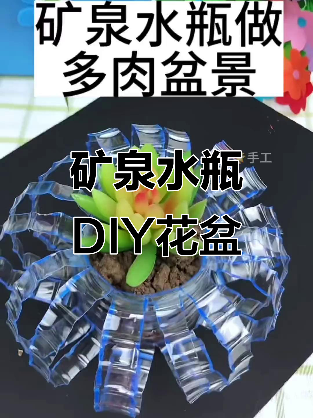 废矿泉水瓶变高端花盆,简单步骤教你做多肉盆景