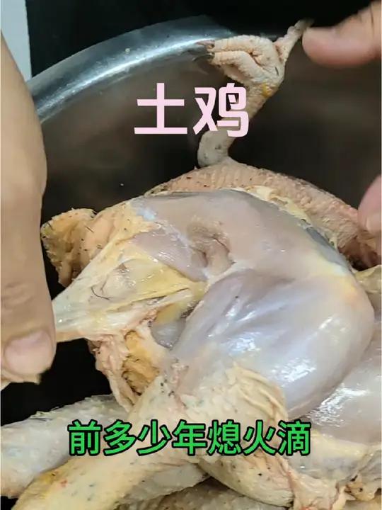 农村家养土鸡 好吃不贵经济实惠 农村生活 记录真实生活 农村美食