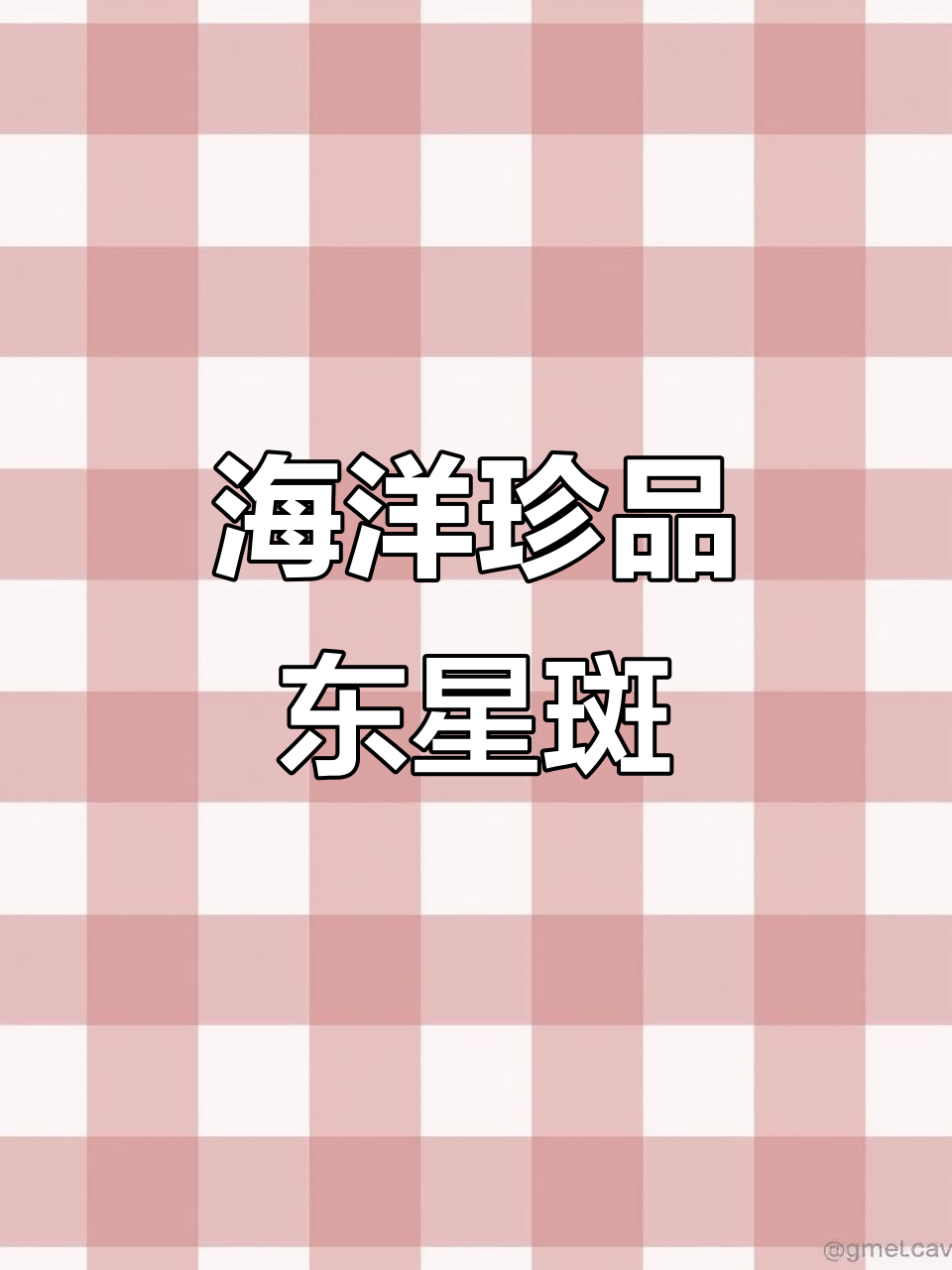 东星斑鱼肉质鲜美,营养丰富,堪称海鲜中的极品