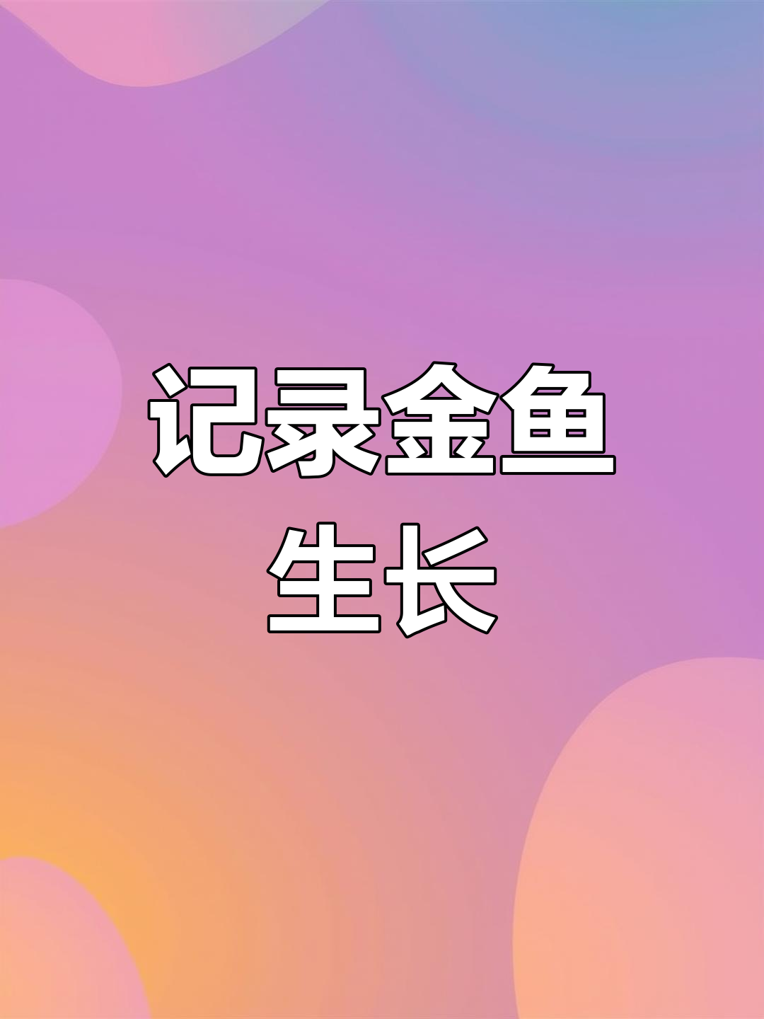 金鱼成长全过程揭秘