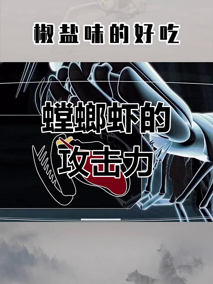皮皮虾的致命武器与复杂眼睛,揭秘螳螂虾如何捕猎