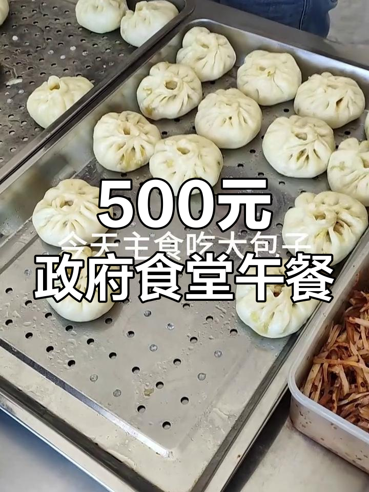 政府食堂500元午餐大揭秘:包子、咸菜和萝卜条的奇妙搭配