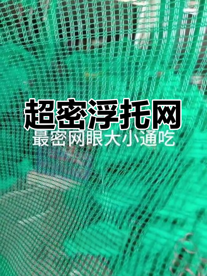 最小网眼拖网,大小鱼虾全捕