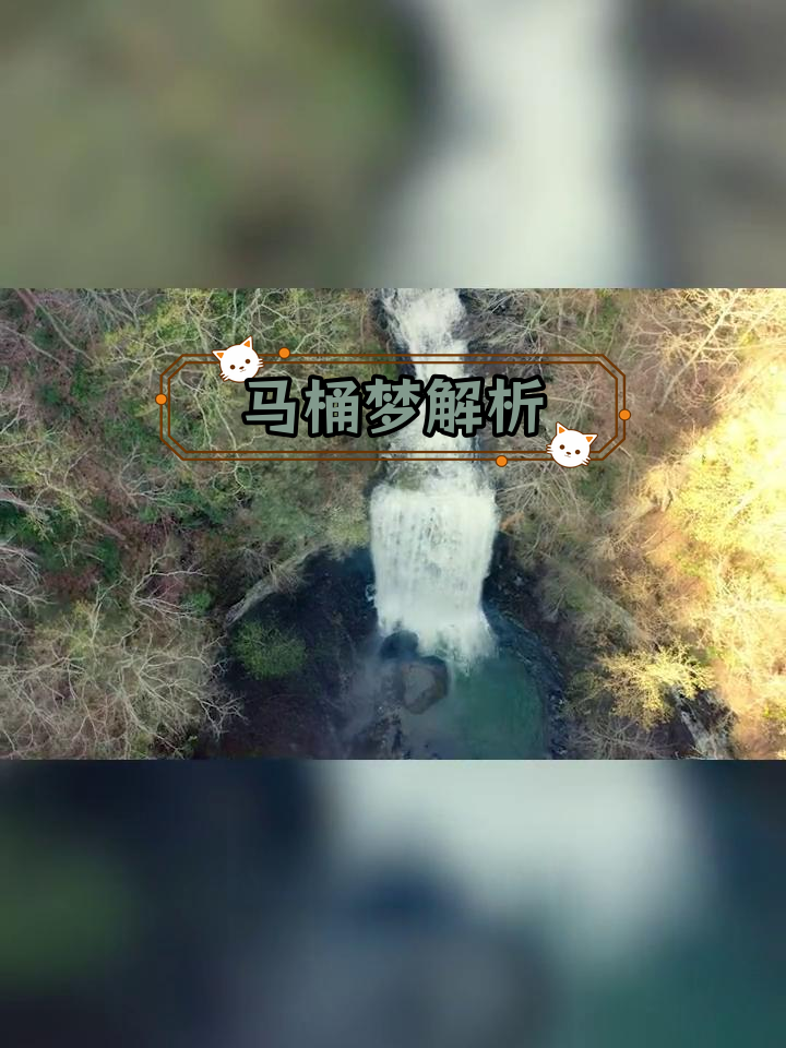 梦见马桶,预示着什么?