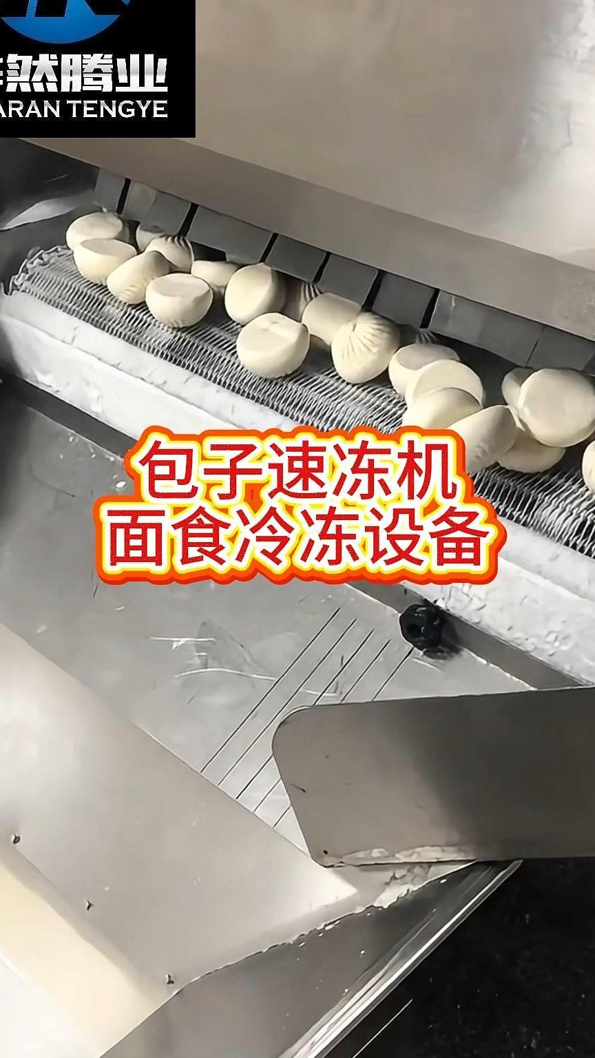包子速冻机隧道冷冻设备源头生产厂家