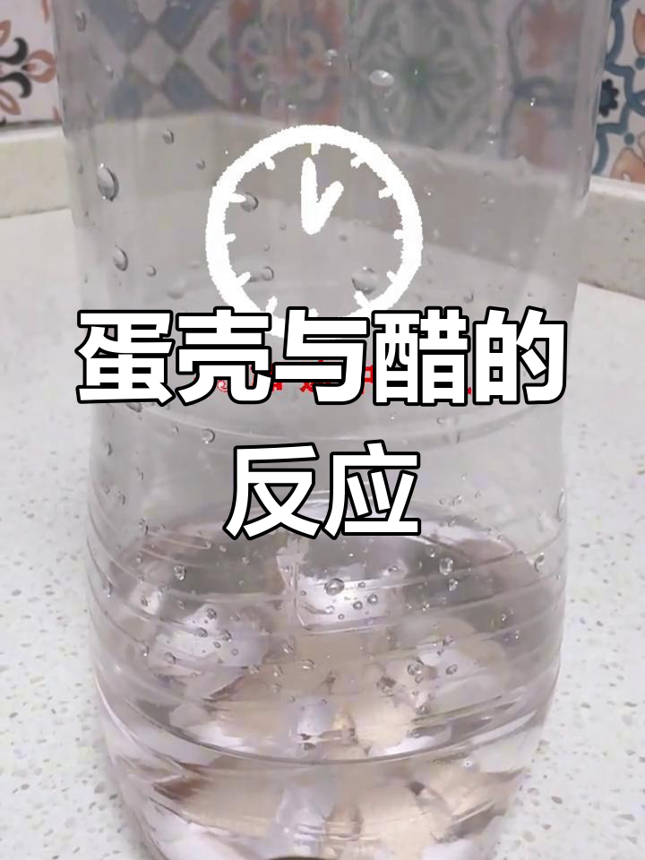 鸡蛋与醋反应生成二氧化碳实验