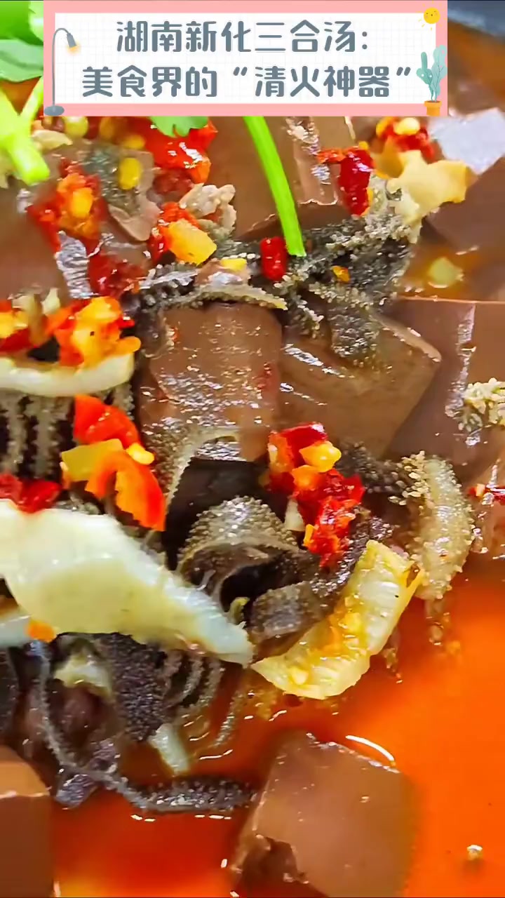 湖南新化三合汤:美食界的“清火神器”