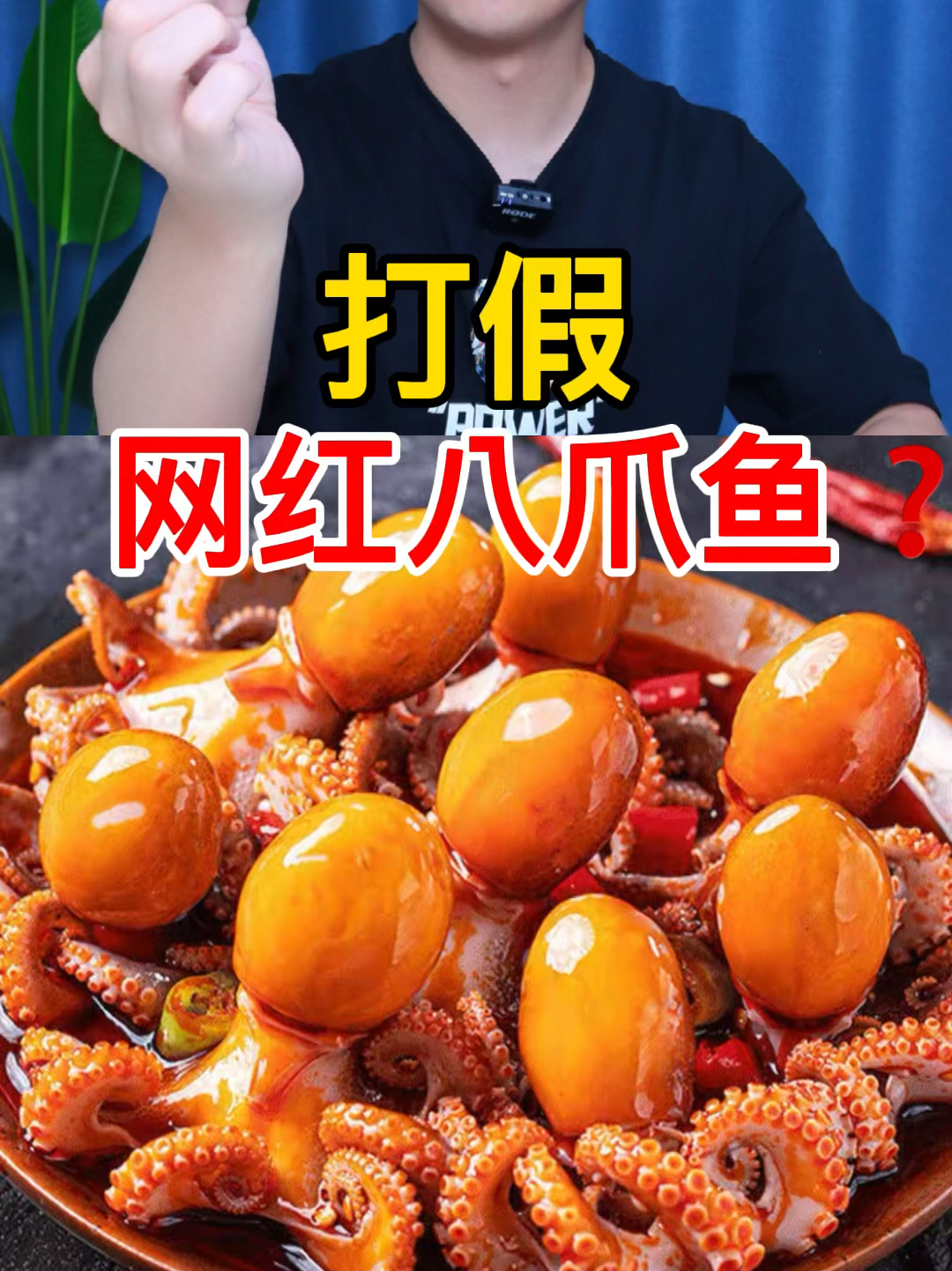 这网红八爪鱼宣传真夸张,满满一水缸