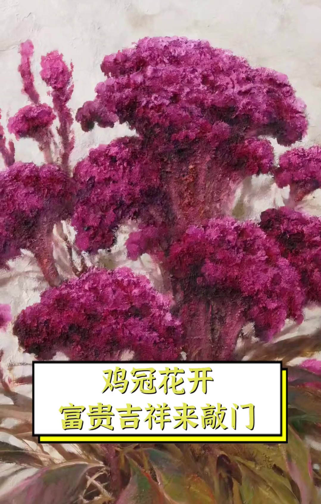 鸡冠花开,富贵吉祥来敲门