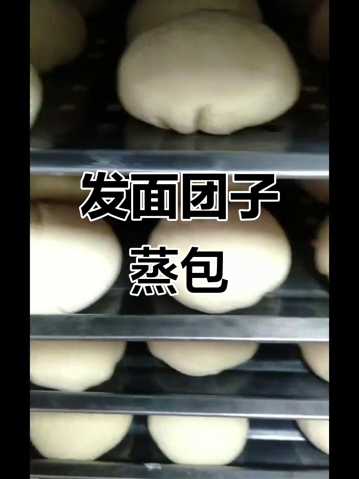 蒸牛肉酸菜团子,发面大馅儿包子来袭