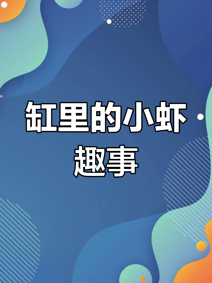小虾的趣味世界:透明与千年虾的对决