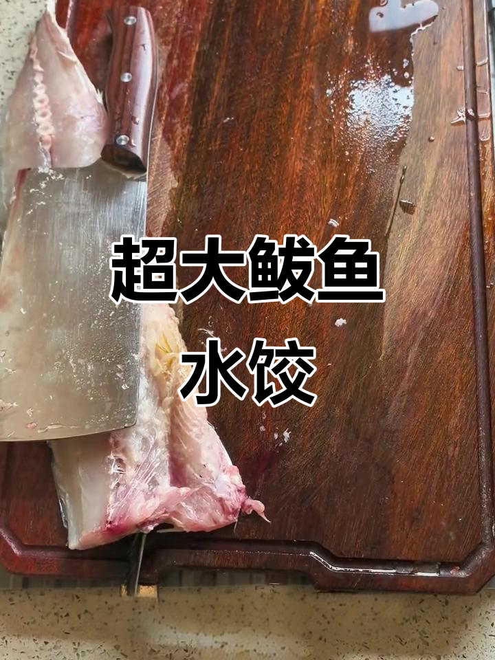 烟台超大鲅鱼饺子,鲜嫩无比的独特美味